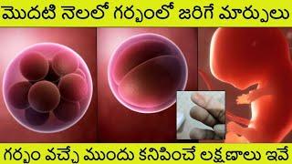 1st Month of Pregnancy in TeluguPregnancy 1st month in Telugu  Early Symtoms of pregnancy 2023