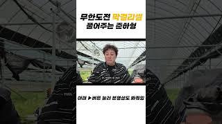 무한도전 만취 비하인드 #shorts