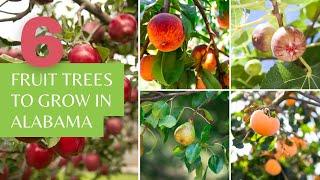 6 Best Fruit Trees to Grow in Alabama