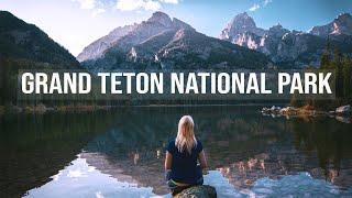 Grand Teton National Park Landscape & Wildlife Photography 4K -- a photographers paradise