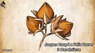 Jaques Raupé x Felix Harrer - 3 Haselnüsse BTG Musik