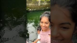 കൊന്നാൽ പാപം തിന്നാൽ തീരും എന്നല്ലേ  #asvivlogs #minivlog #fishing #diml #morningroutinemalayalam