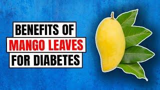 Mango Leaves for Diabetes   Health Benefits of Mango Leaves