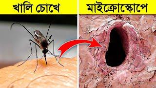 এগুলো শুধুমাত্র Microscope এ দেখা যায়- অবাক কান্ড  Things You Can See Only Under Microscope Bangla