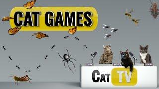 Cat Games  Ultimate Cat TV Bugs and Butterflies Compilation Vol 2  Videos for Cats to Watch