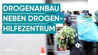 Polizei hebt riesige Cannabis-Plantage in NRW aus Gras direkt neben der Wache