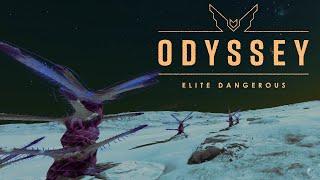 4K Deep Space Exobiology.  Elite Dangerous Ambient Sound and Visuals  . 4K UHD Widescreen