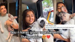 tejasswi prakash nd karan kundra going somewhere with puppies l Tejran cutest moments