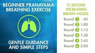 Beginner Pranayama - Relaxation Exercise  15 Second Gently Increasing Breath-Holds  Simple Calm