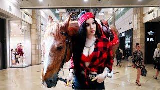 LUCY - ARMASAR CU CALU LA MALL  OLD TOWN ROAD  -  VIDEO