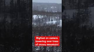 Bigfoot on Camera Towering Over Trees of Snowy Mountain