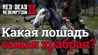 Какая лошадь самая храбрая или это миф?  Red Dead Redemption 2