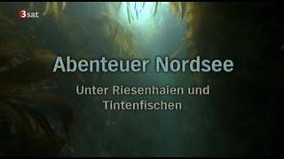 Abenteuer Nordsee  GERMAN DOKU 