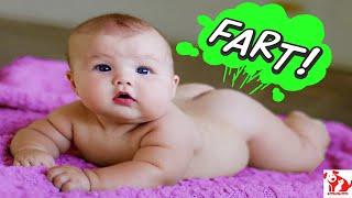Cute babies are atomic bombs #farts   - Funny Babies Farting  - Funny Pets Moments