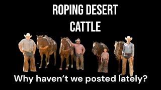 Roping desert cattle and what have we been up to?