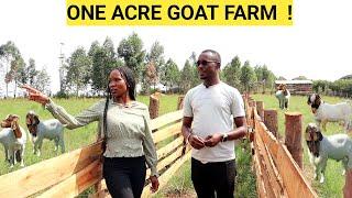 How He Makes PROFITS On An ACRE Of LAND  Goat Demo FARM