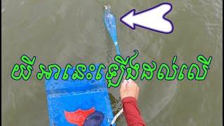 កាន់តែអេម អេមៗ Amazing Traditional Cast Net Fishing  #525