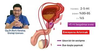 Boşalma sıvısı miktarı ve basıncı nasıl artırılır ?