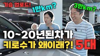 중고차 200만원대 키로수가 3만키로?? 10년 20년 지난차가 키로수가 왜이래?? 5대