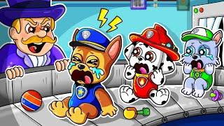BREWING CUTE BABY FACTORY  But What Happened To Them?? - Paw Patrol Ultimate Rescue - Rainbow 3