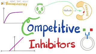 Competitive Inhibition Competitive Inhibitors - Enzyme Kinetics - Biochemistry