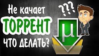 Не качает Торрент Что делать?