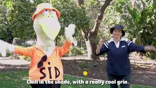 You’ve gotta be SunSmart – featuring Sid Seagull