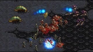 Snow  P vs Soma  Z on Circuit Breakers - StarCraft - Brood War