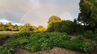 New No Dig Garden