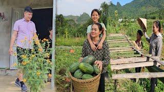 Uyen and her mother harvested watermelon early due to pests - Grandma and mother made a new trellis