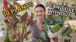 10 Indoor Plants I Cant Live Without - Favorite Houseplants