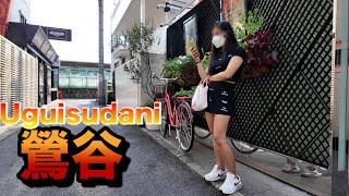 【４Ｋ60】walk in Uguisudani【鶯谷をお散歩】2024年7月27日