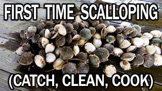 Gulf Coast Scallops Catch Clean and Cook EASY