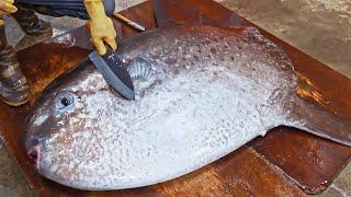 Amazing！Giant Sunfish Cutting Skills Sunfish Catching Sunfish Jelly驚奇的漫波魚切割技巧翻車魚捕捉燙漫波魚腸-佳濱成功旗魚