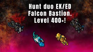 Tibia hunt duo EK e ED -  Falcon Bastion lvl 400+. 1.3kkh de profit sem runas nem prey