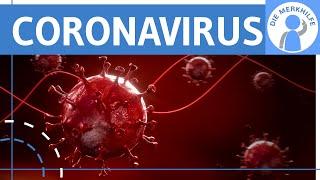 Coronavirus einfach erklärt - Definition Merkmale Symptome & Ansteckung Verbreitung - Hintergrund