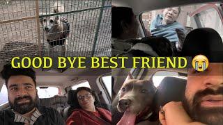 Vlog 3  Leaving pets forever ? Saying bye to your dogs is the hardest thing ever  Gone Emotional