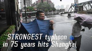 Chinas mega city of Shanghai hit by Typhoon Bebinca the biggest storm in seven decades