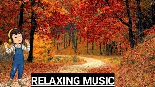 Relaxing Video Maditation Music Piano Music Relief Music Sleeping Music