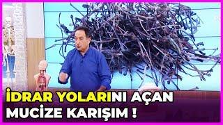 İdrar Yolları Nasıl Temizlenir?  Feridun Kunak Show  5 Mart 2019