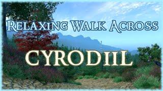 Relaxing Walk Across Cyrodiil... Again TES4 Oblivion 4k