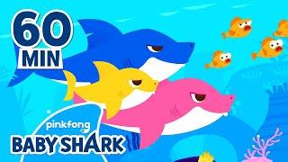 Baby Shark Doo Doo Doo 60 Min  +Compilation  Baby Shark Remix  Baby Shark Official