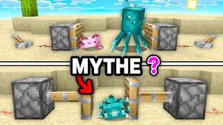 Jai Brisé 25 MYTHES de Minecraft... et ils sont vrais 