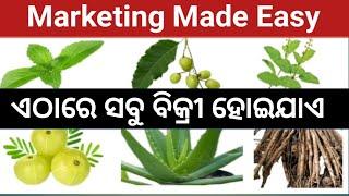 Marketing in Commercial Farming  Marketing of Medicinal Plants  Odisha Commercial Farming