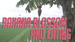 THE  BEST VEGAN BANANA BLOSSOM RECIPES IN INDONESIA