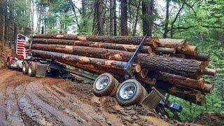 Extreme Dangerous Huge Wood Logging Truck Driving Skill Amazing Heavy Equipment Operator Truck