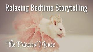 Relaxing Storytelling for Sleep  Nicely Spoken Bedtime Story of THE PRINCESS MOUSE