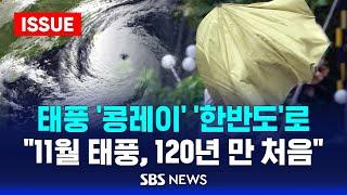 태풍 콩레이 한반도로 .. 11월 태풍 120년 만 처음 이슈라이브  SBS