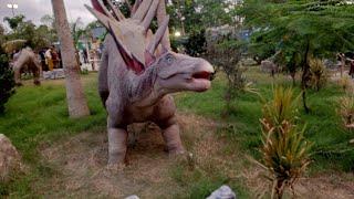 dino safari park  dino safari park karachi  dino safari park karachi ticket price  @sistrology