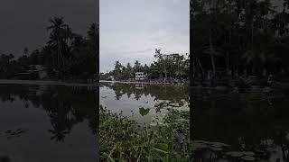 KTCB on Champakulam#malayalam #shorts #boatclub #ntbr #vallamkali #kumarakom